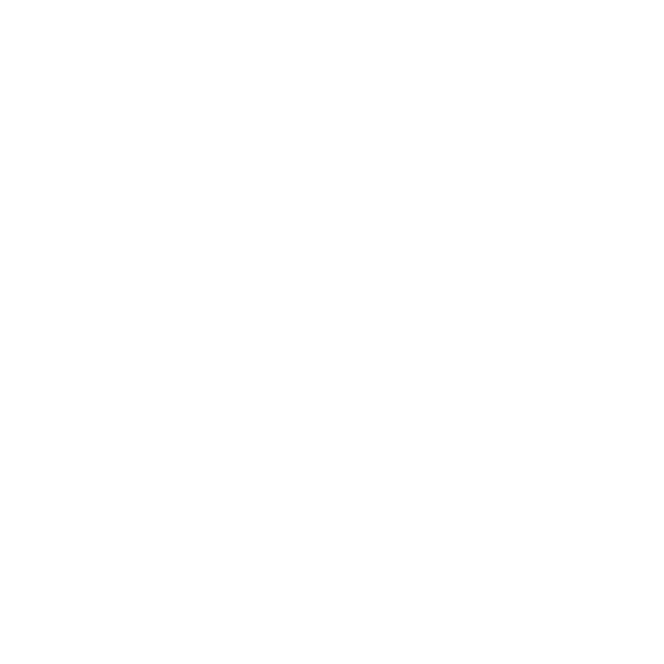 12 Beers